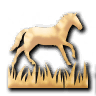 Grassland