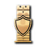 Desert Citadels