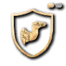 Camel Rider Shields