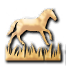Grassland